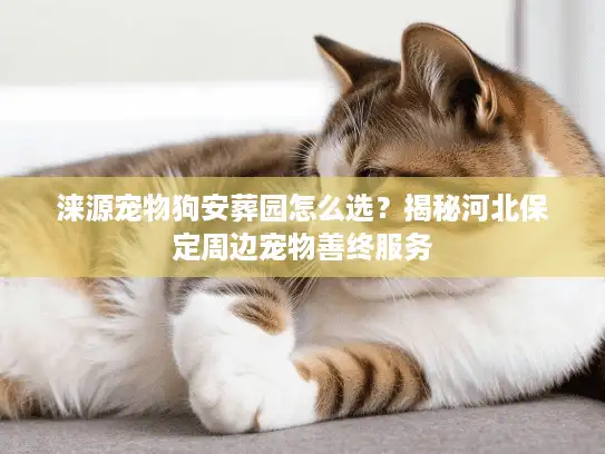 涞源宠物狗安葬园怎么选？揭秘河北保定周边宠物善终服务