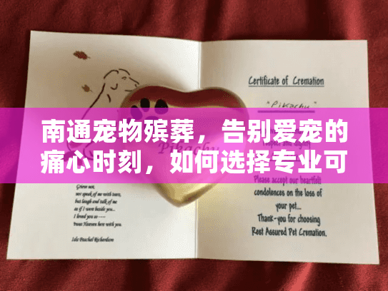 南通宠物殡葬，告别爱宠的痛心时刻，如何选择专业可靠服务？