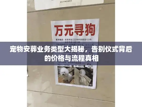宠物安葬业务类型大揭秘，告别仪式背后的价格与流程真相