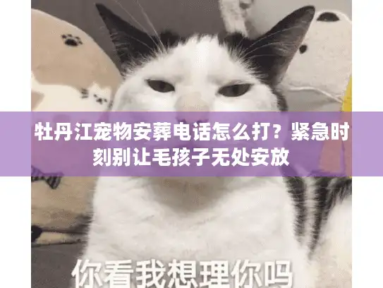 牡丹江宠物安葬电话怎么打?紧急时刻别让毛孩子无处安放 牡丹江宠物安葬电话怎么打?紧急时刻别让毛孩子无处安放