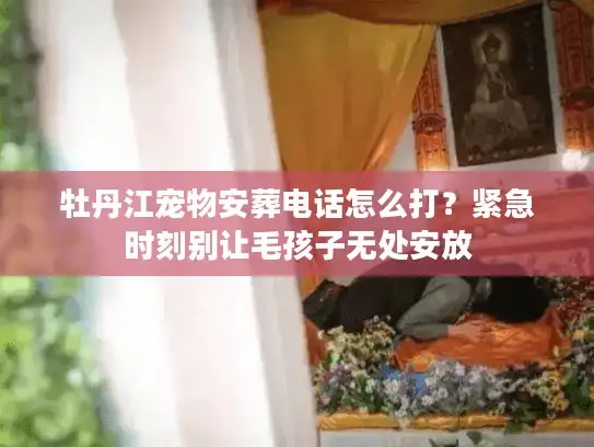 牡丹江宠物安葬电话怎么打?紧急时刻别让毛孩子无处安放 牡丹江宠物安葬电话怎么打?紧急时刻别让毛孩子无处安放