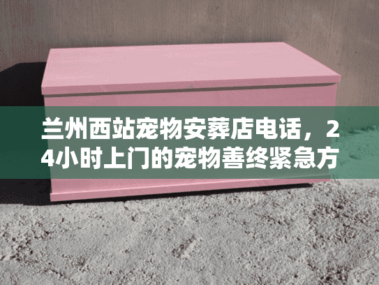 兰州西站宠物安葬店电话，24小时上门的宠物善终紧急方案