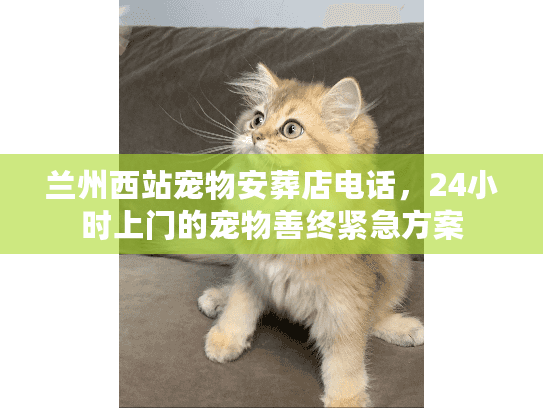 兰州西站宠物安葬店电话，24小时上门的宠物善终紧急方案