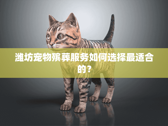 潍坊宠物殡葬服务如何选择最适合的？
