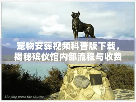 宠物安葬视频科普版下载，揭秘殡仪馆内部流程与收费标准