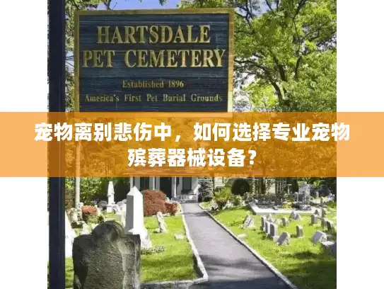 宠物离别悲伤中，如何选择专业宠物殡葬器械设备？