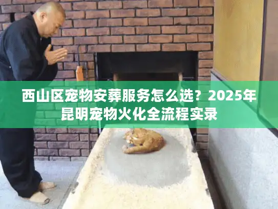 西山区宠物安葬服务怎么选?2025年昆明宠物火化全流程实录 西山区宠物安葬服务怎么选?2025年昆明宠物火化全流程实录