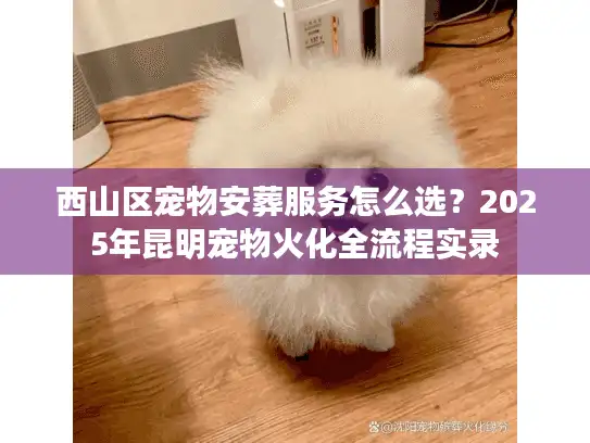 西山区宠物安葬服务怎么选?2025年昆明宠物火化全流程实录 西山区宠物安葬服务怎么选?2025年昆明宠物火化全流程实录
