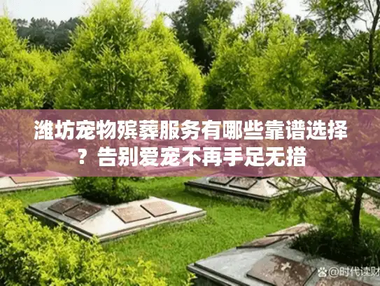 潍坊宠物殡葬服务有哪些靠谱选择？告别爱宠不再手足无措