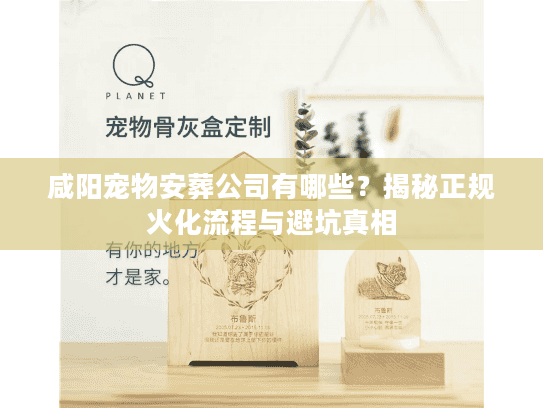 咸阳宠物安葬公司有哪些?揭秘正规火化流程与避坑真相 咸阳宠物安葬公司有哪些?揭秘正规火化流程与避坑真相