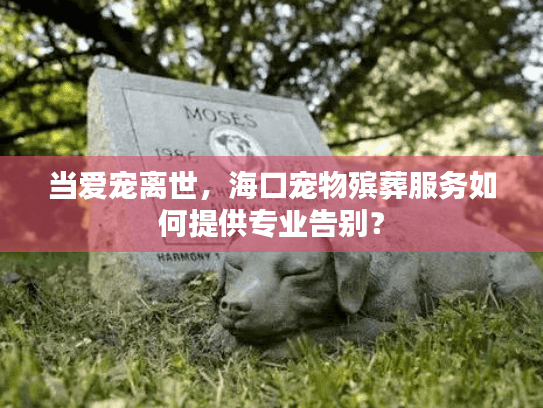 当爱宠离世，海口宠物殡葬服务如何提供专业告别？
