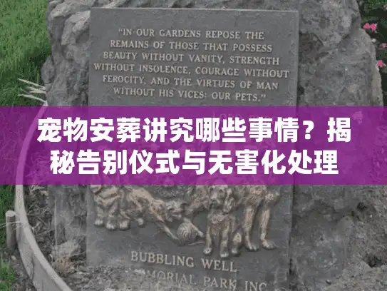 宠物安葬讲究哪些事情?揭秘告别仪式与无害化处理的门道 宠物安葬讲究哪些事情?揭秘告别仪式与无害化处理的门道