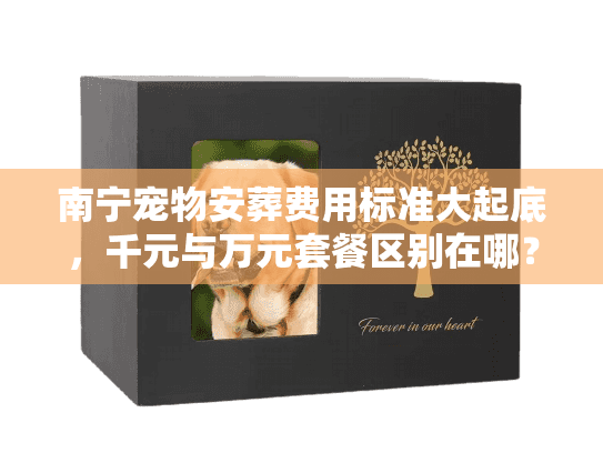 南宁宠物安葬费用标准大起底,千元与万元套餐区别在哪? 南宁宠物安葬费用标准大起底,千元与万元套餐区别在哪?