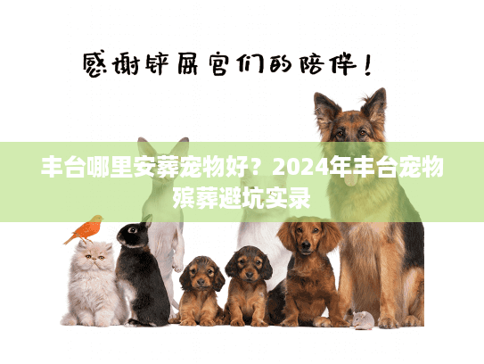 丰台哪里安葬宠物好？2024年丰台宠物殡葬避坑实录