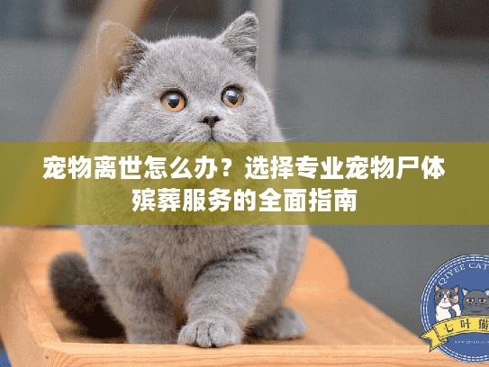 宠物离世怎么办?选择专业宠物尸体殡葬服务的全面指南 宠物离世怎么办?选择专业宠物尸体殡葬服务的全面指南