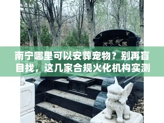 南宁哪里可以安葬宠物?别再盲目找,这几家合规火化机构实测 南宁哪里可以安葬宠物?别再盲目找,这几家合规火化机构实测