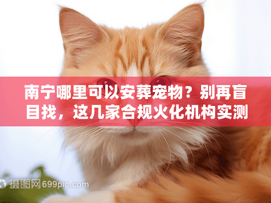 南宁哪里可以安葬宠物?别再盲目找,这几家合规火化机构实测 南宁哪里可以安葬宠物?别再盲目找,这几家合规火化机构实测