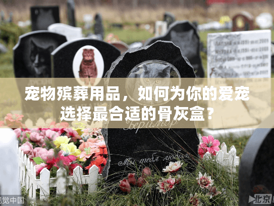 宠物殡葬用品，如何为你的爱宠选择最合适的骨灰盒？