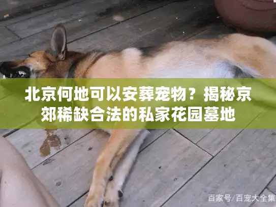 北京何地可以安葬宠物？揭秘京郊稀缺合法的私家花园墓地