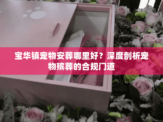 宝华镇宠物安葬哪里好？深度剖析宠物殡葬的合规门道