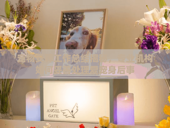 宠物安葬工作总结揭秘，专业机构如何妥善处理爱宠身后事
