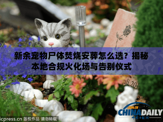 新余宠物尸体焚烧安葬怎么选？揭秘本地合规火化场与告别仪式