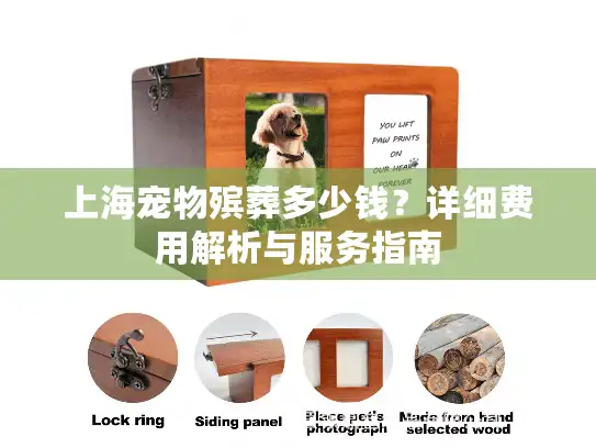 上海宠物殡葬多少钱？详细费用解析与服务指南