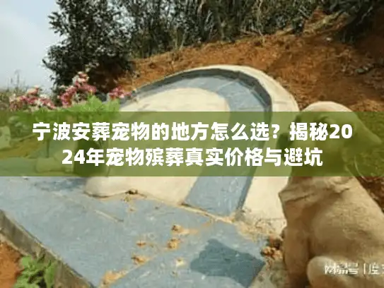 宁波安葬宠物的地方怎么选？揭秘2024年宠物殡葬真实价格与避坑