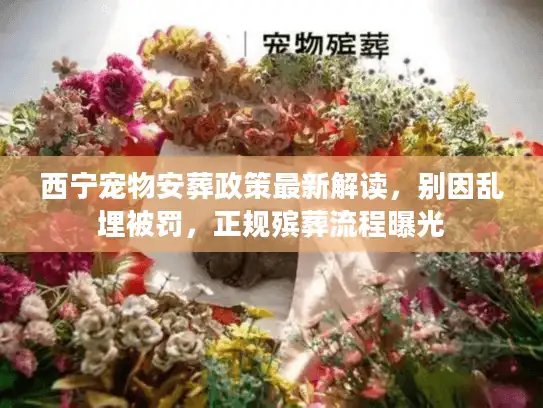 西宁宠物安葬政策最新解读，别因乱埋被罚，正规殡葬流程曝光