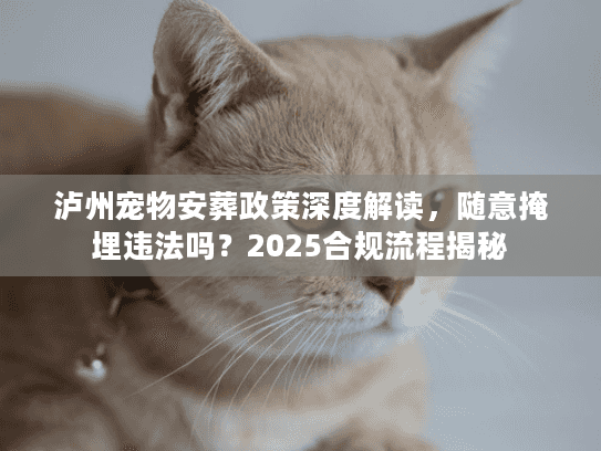 泸州宠物安葬政策深度解读，随意掩埋违法吗？2025合规流程揭秘