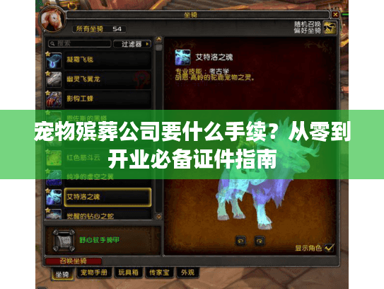 宠物殡葬公司要什么手续？从零到开业必备证件指南