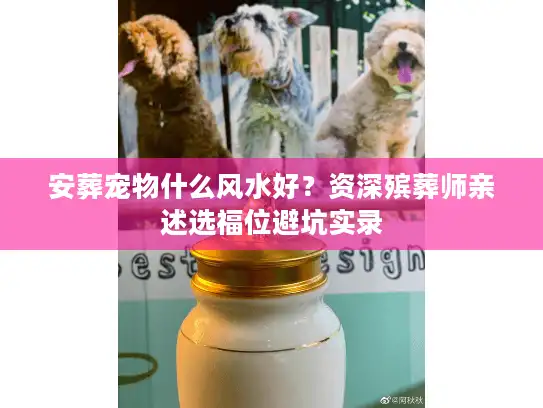 安葬宠物什么风水好？资深殡葬师亲述选福位避坑实录