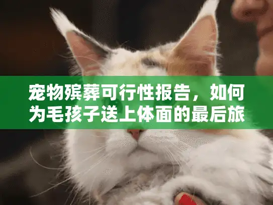 宠物殡葬可行性报告，如何为毛孩子送上体面的最后旅程？