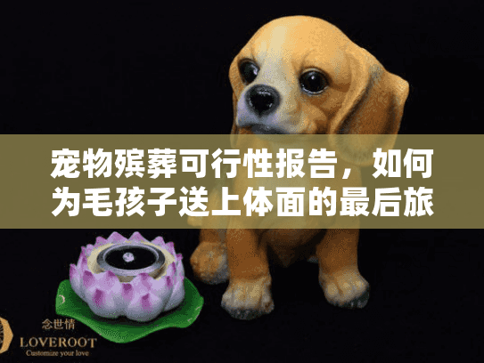 宠物殡葬可行性报告，如何为毛孩子送上体面的最后旅程？