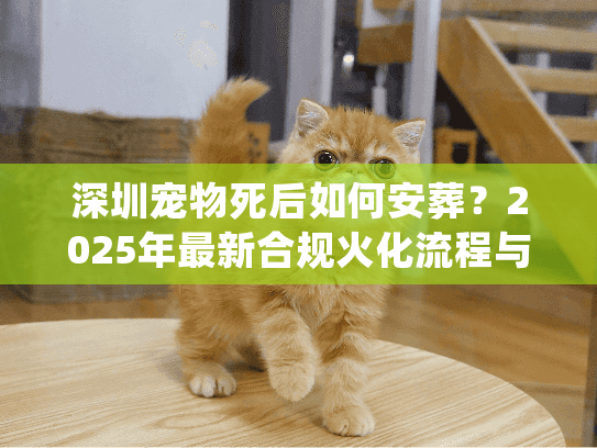 深圳宠物死后如何安葬？2025年最新合规火化流程与费用明细