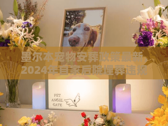 墨尔本宠物安葬政策最新，2024年自家后院埋葬违规风险