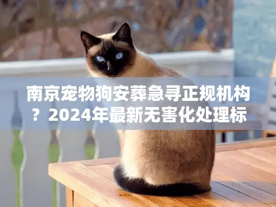 南京宠物狗安葬急寻正规机构？2024年最新无害化处理标准与避坑实录