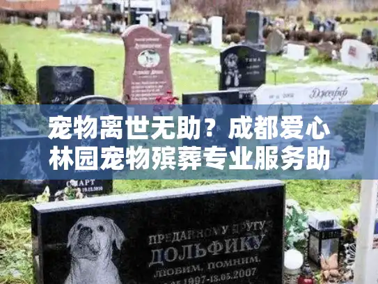 宠物离世无助?成都爱心林园宠物殡葬专业服务助您安葬爱宠 宠物离世无助?成都爱心林园宠物殡葬专业服务助您安葬爱宠