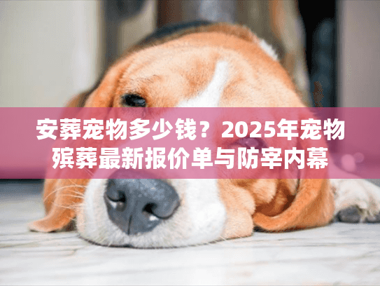 安葬宠物多少钱？2025年宠物殡葬最新报价单与防宰内幕