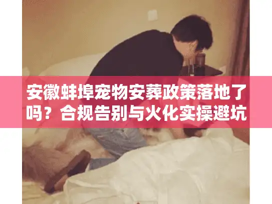 安徽蚌埠宠物安葬政策落地了吗？合规告别与火化实操避坑