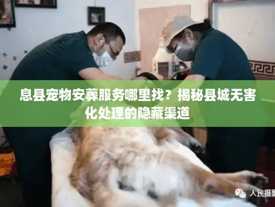 息县宠物安葬服务哪里找？揭秘县城无害化处理的隐藏渠道