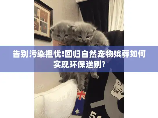 告别污染担忧!回归自然宠物殡葬如何实现环保送别? 告别污染担忧!回归自然宠物殡葬如何实现环保送别?