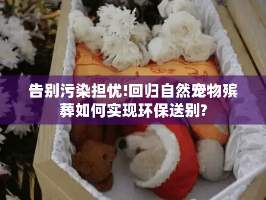 告别污染担忧!回归自然宠物殡葬如何实现环保送别? 告别污染担忧!回归自然宠物殡葬如何实现环保送别?