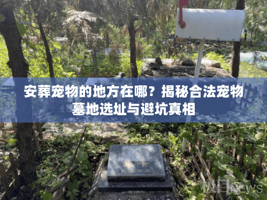 安葬宠物的地方在哪？揭秘合法宠物墓地选址与避坑真相