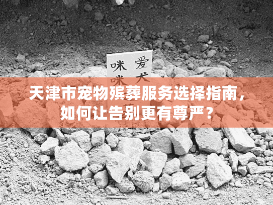 天津市宠物殡葬服务选择指南，如何让告别更有尊严？