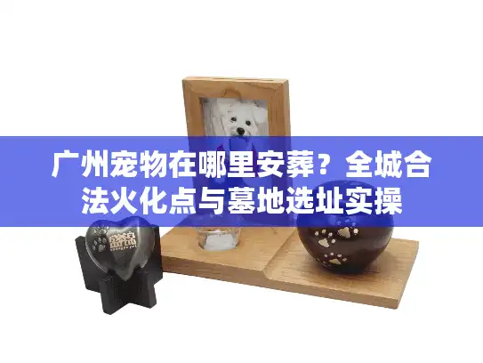 广州宠物在哪里安葬？全城合法火化点与墓地选址实操