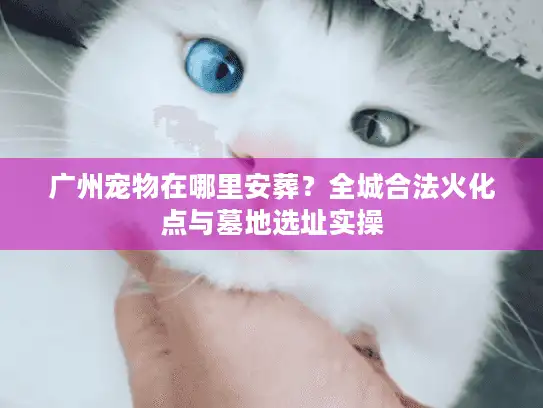 广州宠物在哪里安葬？全城合法火化点与墓地选址实操