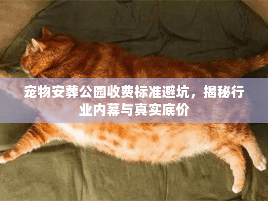 宠物安葬公园收费标准避坑，揭秘行业内幕与真实底价