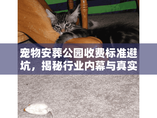 宠物安葬公园收费标准避坑，揭秘行业内幕与真实底价