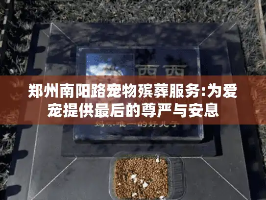 郑州南阳路宠物殡葬服务:为爱宠提供最后的尊严与安息 郑州南阳路宠物殡葬服务:为爱宠提供最后的尊严与安息